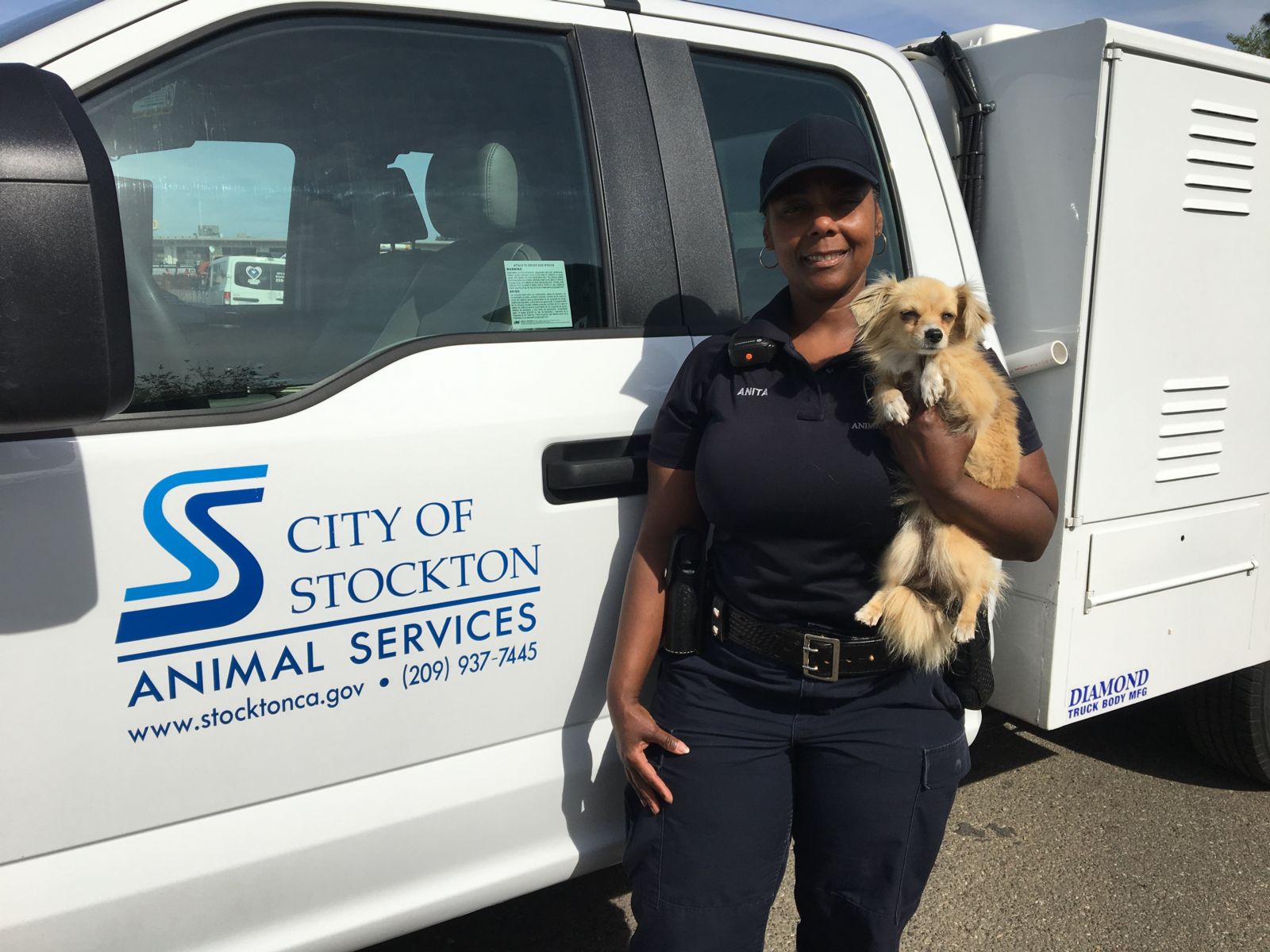 The Animal Services Section of the Stockton Police Department is currently recruiting for the position of Animal Services Officer. The Animal Services Officer will enforce City laws regarding stray, dangerous and nuisance domestic and wild animals; investigate complaints and perform related work as assigned. The incumbent will work a flexible schedule.